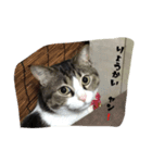 猫ニャン！（個別スタンプ：3）