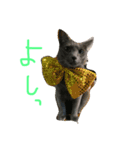 はなもレオも、もう疲れたー。（個別スタンプ：7）