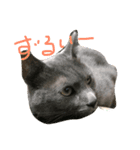 はなもレオも、もう疲れたー。（個別スタンプ：8）