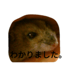 見ました（個別スタンプ：8）