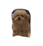 アフロ 工藤（個別スタンプ：4）