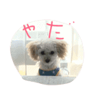 アフロ 工藤（個別スタンプ：14）