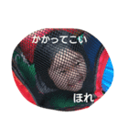 るかりせ（個別スタンプ：6）