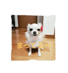 yutorichiwawa（個別スタンプ：1）