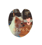 yutorichiwawa（個別スタンプ：7）