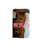 yutorichiwawa（個別スタンプ：8）