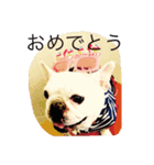 A beautiful dog 2（個別スタンプ：2）