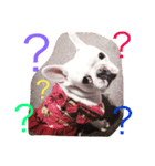 A beautiful dog 2（個別スタンプ：3）