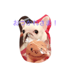 A beautiful dog 2（個別スタンプ：4）