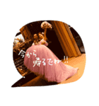 帰りますよ（個別スタンプ：7）
