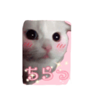 吾輩はルチア（個別スタンプ：9）