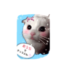 吾輩はルチア（個別スタンプ：12）