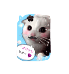 吾輩はルチア（個別スタンプ：13）