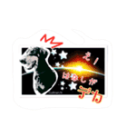 A happy new year.by Cullinan（個別スタンプ：4）