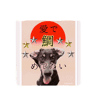 A happy new year.by Cullinan（個別スタンプ：5）