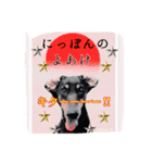 A happy new year.by Cullinan（個別スタンプ：8）