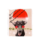 A happy new year.by Cullinan（個別スタンプ：9）