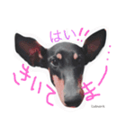 A happy new year.by Cullinan（個別スタンプ：11）