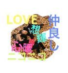おうくん♥️❤️♥️♥️♥️（個別スタンプ：7）