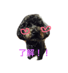 ジャックで初めてのスタンプ（個別スタンプ：4）