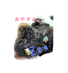 ジャックで初めてのスタンプ（個別スタンプ：8）