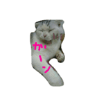 たまとゆかいな仲間達（個別スタンプ：3）