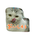 たまとゆかいな仲間達（個別スタンプ：4）