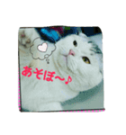 たまとゆかいな仲間達（個別スタンプ：11）