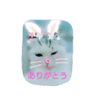 たまとゆかいな仲間達（個別スタンプ：16）