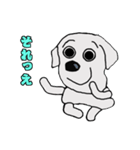 ラブラドール ファン（個別スタンプ：1）