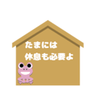 絵馬に進出！ 応援するカエル君（個別スタンプ：20）