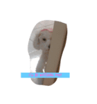 Im Piki Im a boy(1)（個別スタンプ：2）
