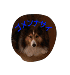 inunekoI LOVE YOU（個別スタンプ：4）