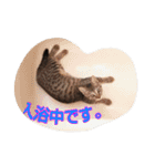 inunekoI LOVE YOU（個別スタンプ：9）