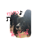 yu-ki Baby（個別スタンプ：14）