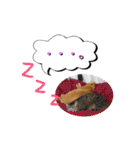 猫は可愛い。（個別スタンプ：39）