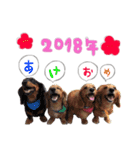 Happynewyear2018（個別スタンプ：1）