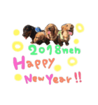 Happynewyear2018（個別スタンプ：2）