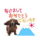 Happynewyear2018（個別スタンプ：3）