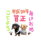 Happynewyear2018（個別スタンプ：4）