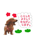 Happynewyear2018（個別スタンプ：5）