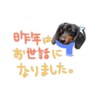 Happynewyear2018（個別スタンプ：7）