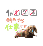 Happynewyear2018（個別スタンプ：10）