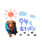Happynewyear2018（個別スタンプ：11）