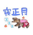 Happynewyear2018（個別スタンプ：14）