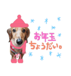 Happynewyear2018（個別スタンプ：15）
