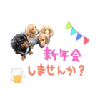 Happynewyear2018（個別スタンプ：16）