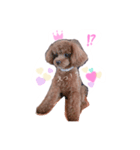 moco.10（個別スタンプ：6）