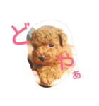 くるみのくぅ2（個別スタンプ：9）