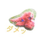 くるみのくぅ2（個別スタンプ：14）